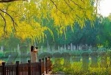 日韩成人av大片-成人娱乐内容的社会影响与文化反思